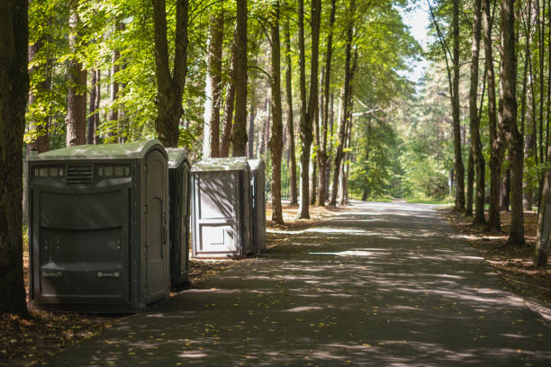 Best Temporary restroom rental  in Ford Heights, IL